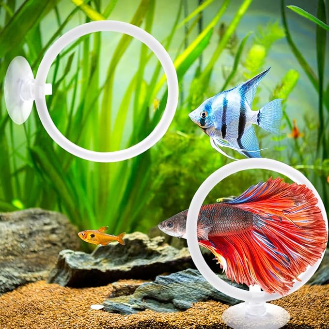 2 Pcs 2.87 Inch Betta Fish Exercise Ring, with Fixed Suction Cup Betta Tank Fish Work Out Toys for Aquarium Decor, Fish Tank Accessories Feeding Ring, White