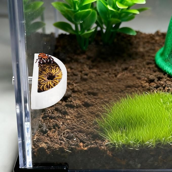 5pcs Jumping Spider Feeding Dish Kit, Magnetic Half Round Jumping Spider Food Feeder Water Bowl Dispenser Leak-Proof Enclosure Accessories Hide Decor for Tarantula Mantis Small Reptiles