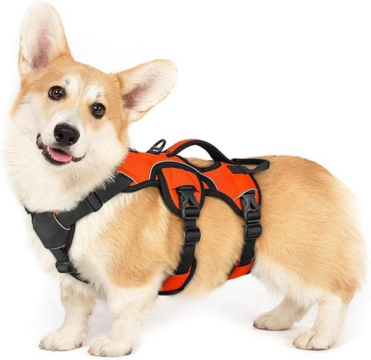rabbitgoo Escape Proof Dog Harness for Small, No Pull with Lift Handle | No Escape, Full Soft Padded, Reflective Adjustable Vest, Leash Clip for Walking Hiking Training, Orange, Small