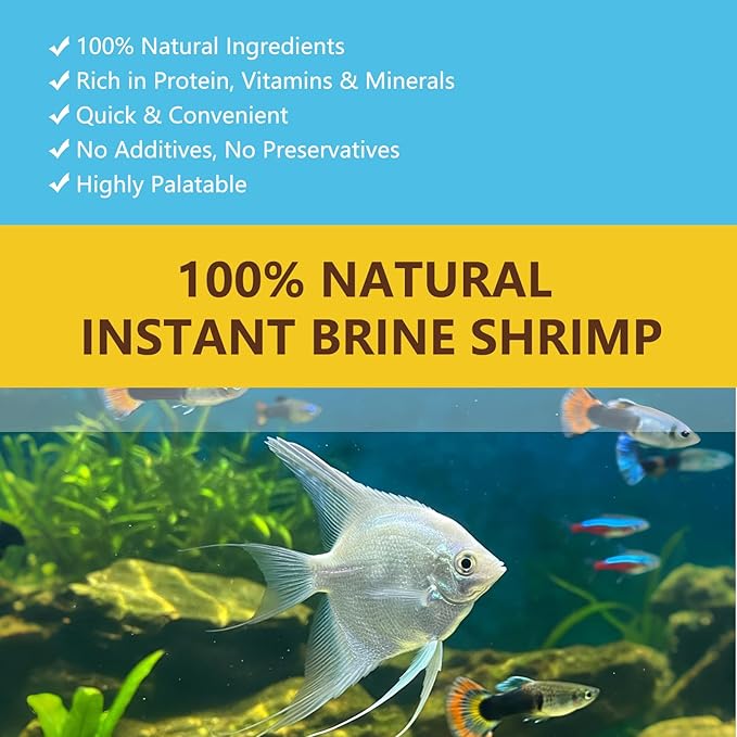 Instant Baby Brine Shrimp Fish Food - No Hatch High Protein Fry Food with Astaxanthin for Betta, Guppy, Discus, Tropical Fish, Corals, Jellyfish & Seahorses in Saltwater & Freshwater Aquarium (50ml)