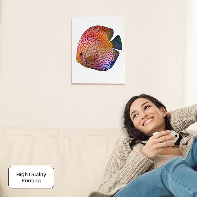 3dRose King Of The Aquarium Discus Fish Image Wildlife Museum Grade Canvas Wrap 11x14