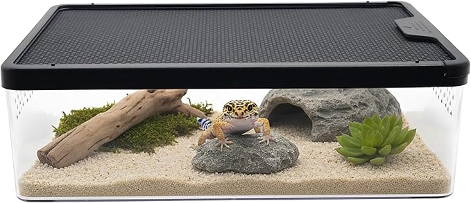 PC Small Reptile Terrarium, Tarantula Enclosure, 12.6" x 8.7" x 3.9" Clear Mini Habitat for Geckos, Hermit Crabs, Praying Mantis, Insects, Isopods, Critter Keeper