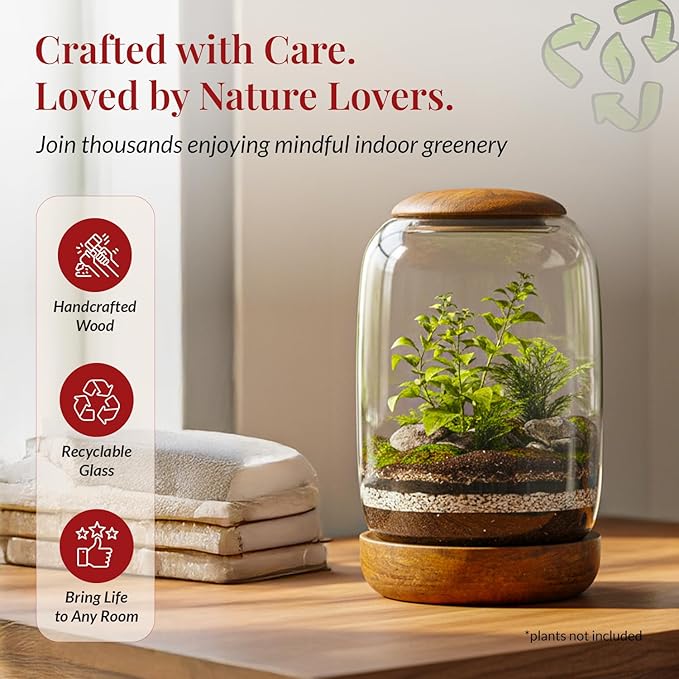 Exclusive Glass Terrarium, Beautifully Enhanced by a Natural Wood lid and Base. Excellent for Plants and Decoration, for Home or Office: Size: 8.7" Tall (22 cm) by 6.3" Wide (16 cm)