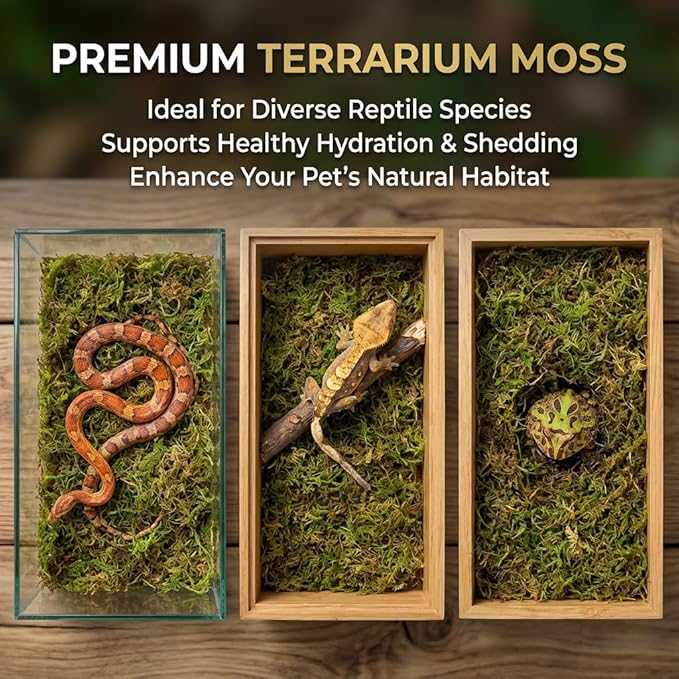Sukh Sphagnum Moss for Reptiles -Terrarium Moss for Reptiles Peat Moss for Reptiles Habitat Bedding Moss for Snakes Turtle Frog Gecko and Other Reptiles Substrate (30, Ounces)