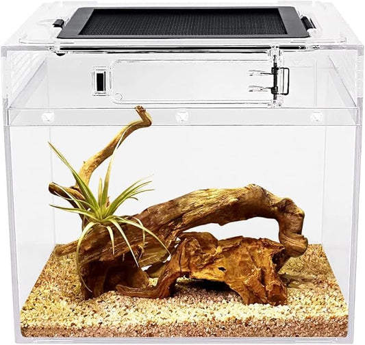 Reptile Growth mini Reptile Terrarium,8" x 8"x 8" Reptile Tank with Full View Visually Appealing，for Insect，Fish，Tarantula，Hermit Crab，Jumping Spider，Iguana，Tortoise，Leopard Gecko，Frog，Bearded Dragon