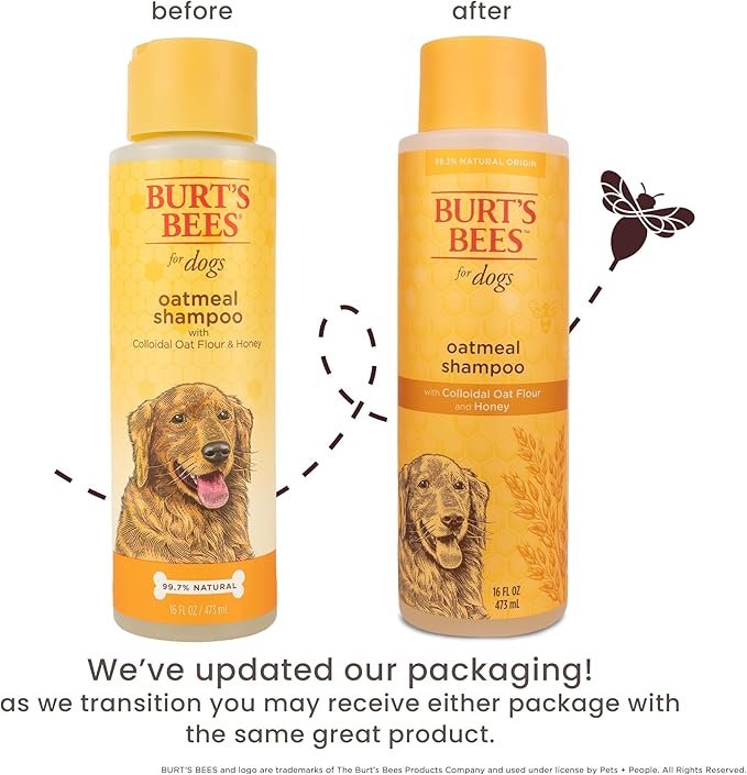 Burt’s Bees for Pets Oatmeal Dog Shampoo with Honey, Soothing Dog Shampoo for Itchy and Sensitive Skin, pH Balanced Formula that Gently Cleans and Moisturizes Dog Coats, 16 Fl Oz - 2 Pack