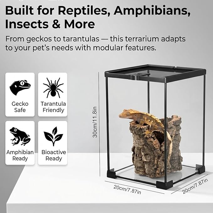 8x8x12 Terrarium Glass Tarantula Enclosure: Jumping Spider Enclosure with Lockable Sliding Screen Top for Crested Gecko Hermit Crab - Full View Stackable Vertical Tank for Arboreal Frog Habitat