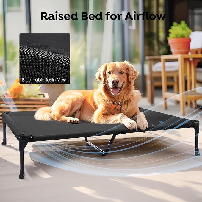 Veehoo Orthopedic Elevated Dog Bed with Fluffy Plush Bolster Cushion, Indoor Raised Dog Beds for Large Dogs, Soft Pet Sofa Cot with Removable Washable Mat, No-Slip Feet, 49 x 33 inches, Cream White