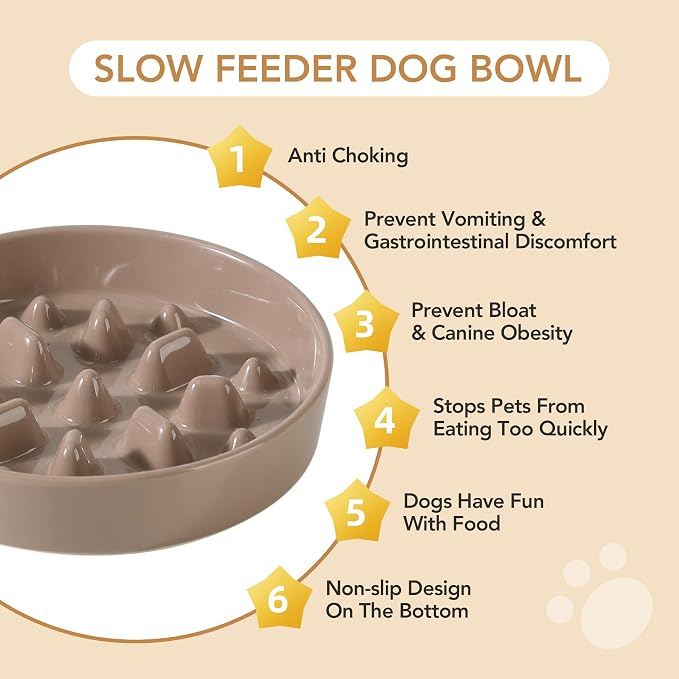 Havniva Dog Bowls Slow Feeder, Ceramic Slow Feeder Dog Bowls for Fast Eater | 1.6 Cups Dog Food Bowl Puzzle Feeder, Slow Feeding Bowls for Medium Breed, Non-Slip Base, Anti-Choking