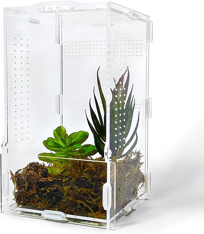 Jumping Spider Enclosure, Arboreal Tarantula Enclosure, Praying Mantis Terrarium Critter Cage for Jumping Spider, Tarantula Slings, Snail, Isopods, Beetles, Millipedes, Springtails