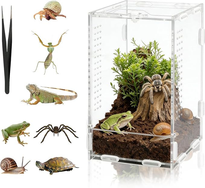 DARENYI Jumping Spider Enclosure, 7.8"x4.7"x4.3" Small Acrylic Terrarium Praying Mantis Enclosure with Front Door, Jumping Spider Habitat for Tarantula, Snail, Lizard, Crabs and Small Reptiles