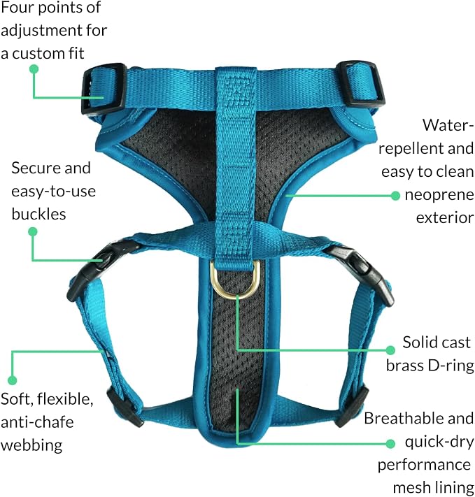 Adventure Dog Harness - Stylish & Durable Small Dog Harness for Outdoor Adventures and Everyday Wear - Pacific Blue Neoprene Adjustable Harness for Dogs with Reflective Piping, Brass D-Ring