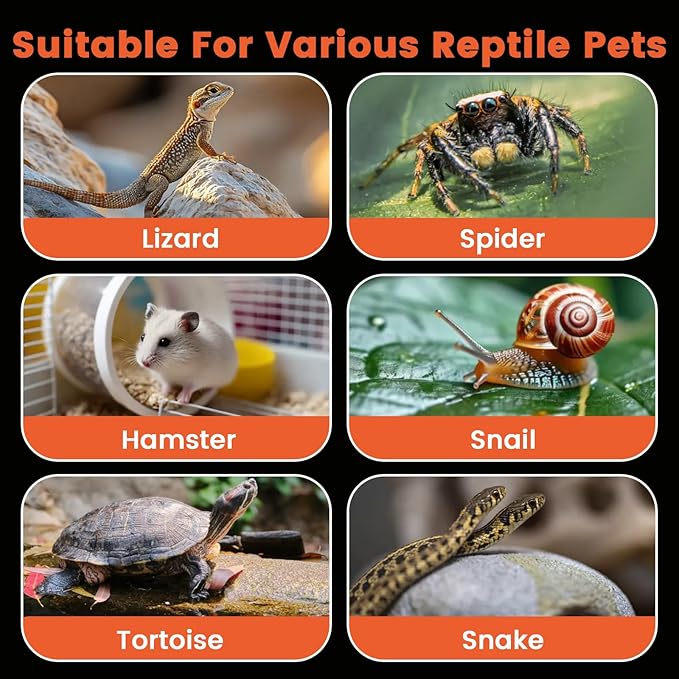 Jumping Spider Enclosure, 6"×6"×11.8" Dual Magnetic Door Arboreal Tarantula Cribs, Ventilation Spider House, Escape Proof Praying Mantis Habitat, Acrylic Snail Cage, Acrylic Terrarium Habitat