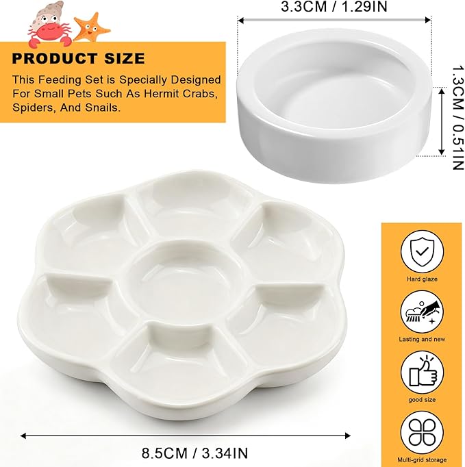 Eiito Reptile Food Bowl,Hermit Crab Lizard Gecko Ceramic Food Dish, 7 Compartments Anti-Turning Bearded Dragon Food & Water Bowl with Small Brush (White)