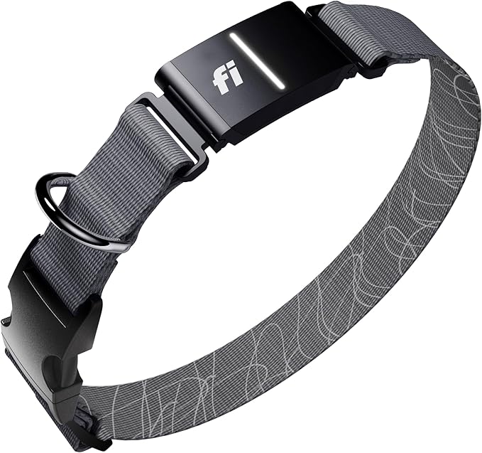 Fi New Series 3+ Smart Dog Tracker Collar [6 Month Membership Included] GPS Tracker for Dogs with Health & Behavior Monitoring, Escape Alerts, Waterproof, LED, Apple Watch Compatible (Gray, Small)