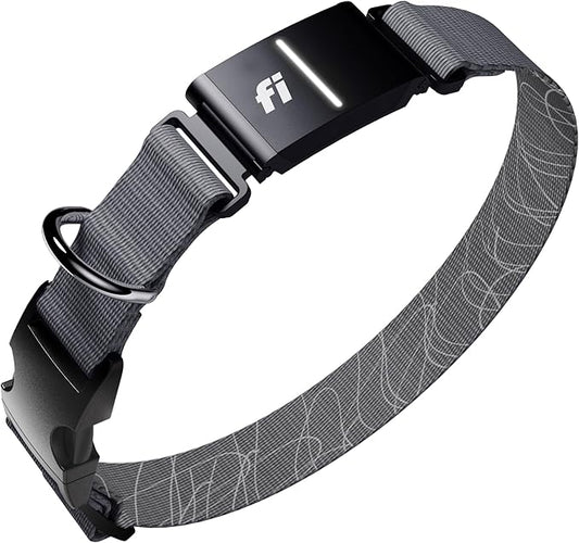 Fi New Series 3+ Smart Dog Tracker Collar [6 Month Membership Included] GPS Tracker for Dogs with Health & Behavior Monitoring, Escape Alerts, Waterproof, LED, Apple Watch Compatible (Gray, Large)