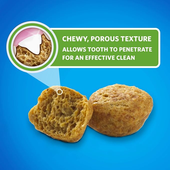 DentaLife Purina Made in USA Facilities Cat Dental Treats, Savory Salmon Flavor - 19 oz. Canister