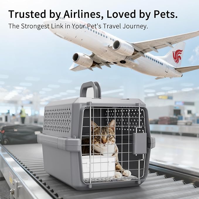RIZZARI Airline Approved Pet Carrier for Cats & Small Dogs, Travel Crate | Hard-Sided Protection,Secure Locking Door,Excellent Airflow,Comfortable Travel,Lightweight Design
