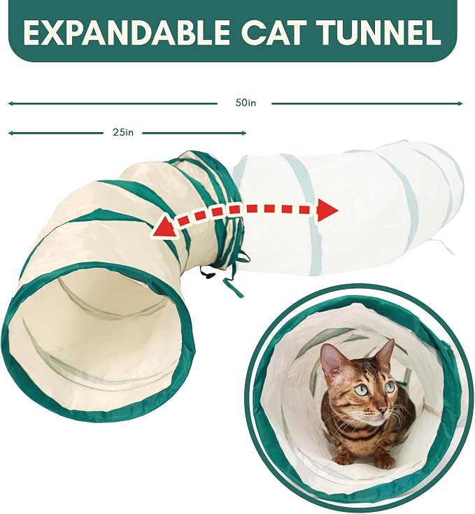 ALBERT & MIA Catgility™ Cat Agility Equipment, Hurdles, Poles, Hoop & Tunnel | Indoor obstacle course training for kittens and small dogs, jumping exercise and enrichment, clicker trainer guide included