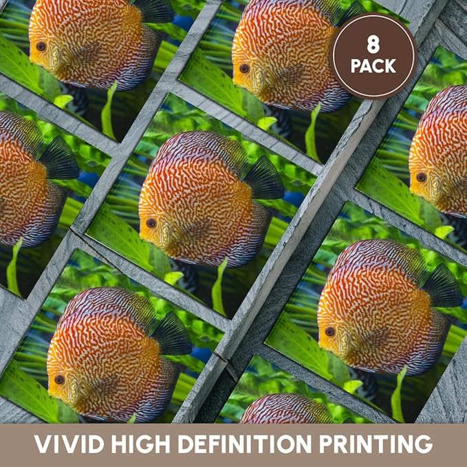 3dRose Super Pigeon Snakeskin Discus, Tropical Freshwater Fish Set of 8 Ceramic Tile Coasters