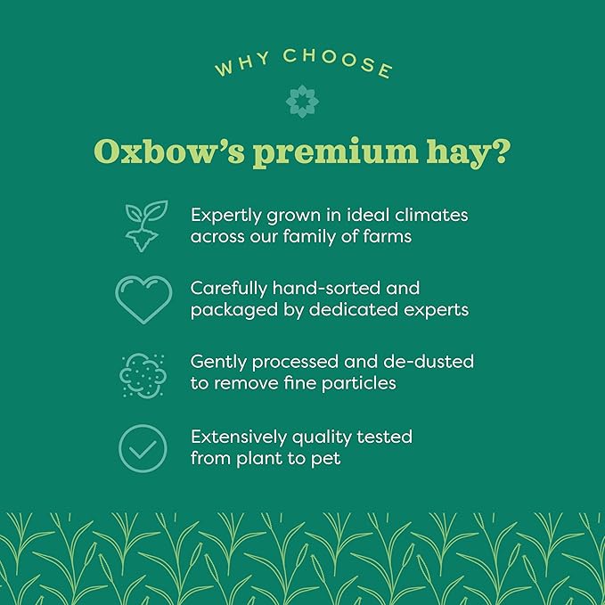 Oxbow Timothy Hay, Rabbit & Guinea Pig Hay, High Fiber for Digestive Health, Grown in the USA, Veterinarian Recommended Small Pet Supplies, for Rabbits, Guinea Pigs, & Chinchillas, 15 oz.
