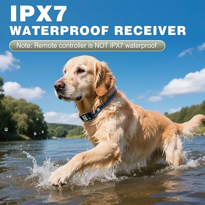 Smart Dog Training Collar for 2 Dogs, 2-in-1 Remote Control Shock Collar with AI Anti-Barking Device for Small/Medium,/Large Dogs, IPX7 Waterproof