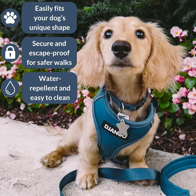 Adventure Dog Harness - Stylish and Durable Medium Dog Harness for Outdoor Adventures and Everyday Wear - Indigo Blue Neoprene Adjustable Harness for Dogs with Reflective Piping, Brass D-Ring