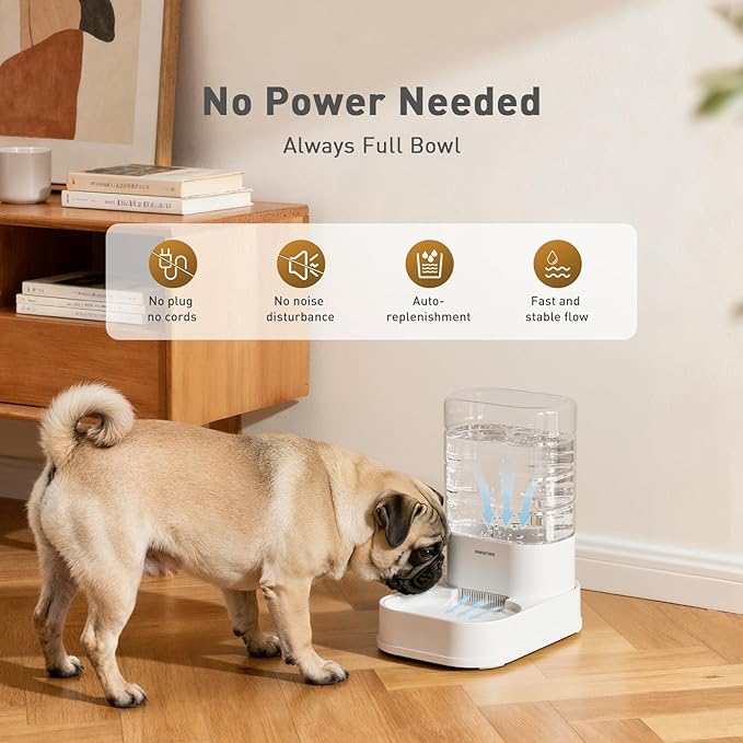 Distributeur d'eau pour chien et chat automatique par gravité 3,78 L avec 6 filtres