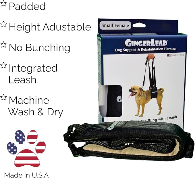 Dog Rear Sling Support Harness, SM Female, Machine Wash & Dry | Fits Small to Medium Size Dogs or Larger Barrel-Chested Breeds like Boxers, Bullies. Padded, Integrated Leash. Made in U.S.A.