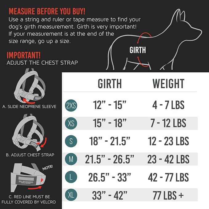 EzyDog Quick Fit Dog Harness, Soft Neoprene Padding - Small, Orange | Fast One-Click Buckle, Adjustable Fit, Strong Reinforced Materials, Reflective Stitching, No Pull Dog Harness, Easy Walking