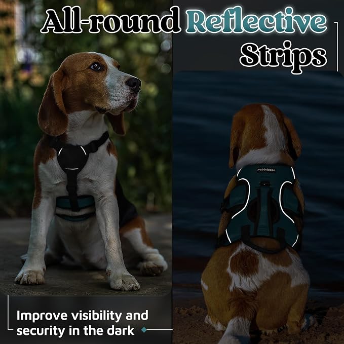 rabbitgoo Escape Proof Dog Harness for Small, No Pull with Lift Handle | No Escape, Full Soft Padded, Reflective Adjustable Vest, Leash Clip for Walking Hiking Training, Dark Green, Small