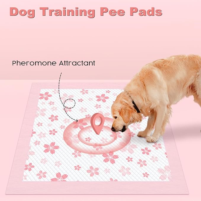 MIZOK Pink Puppy Pads with Adhesive Tabs Disposable Pee Pads 36x36in 100Ct | Giant Potty Pads Feature Sticky Corners and Extra Thick Layers Ideal for Multiple Pets or Big Dog Poop Pads Needs