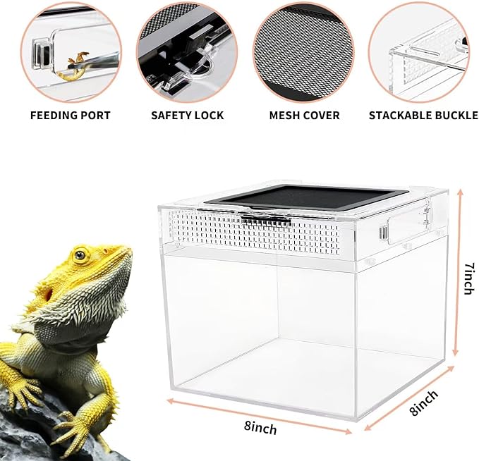 Reptile Growth Mini Reptile PC Terrarium,8x8x7 inch Amphibian Tank Starter Kit Habitat Cage，for Insect，Fish，Tarantula，Turtles，Jumping Spiders and Small Reptiles