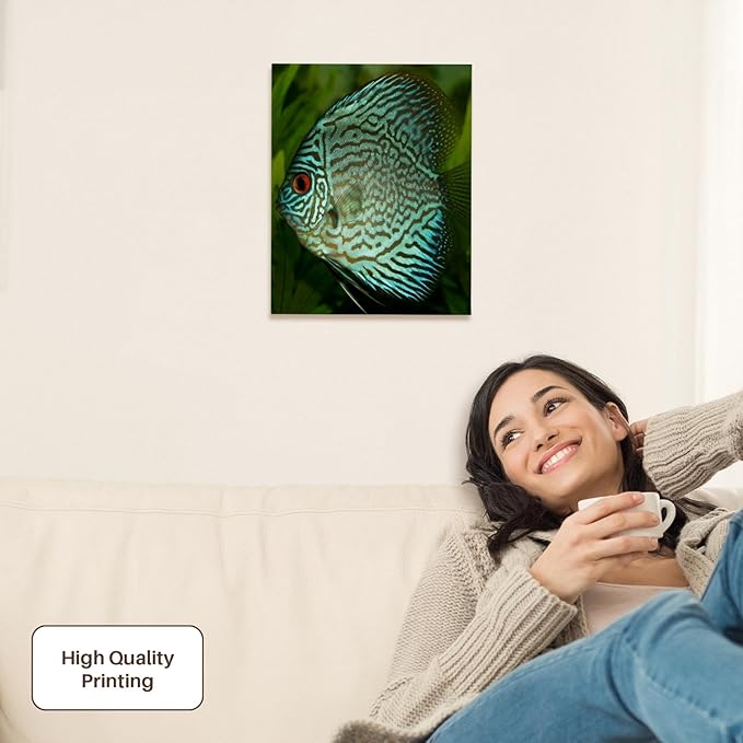 3dRose Blue Exotic Discus Fish Museum Grade Canvas Wrap 11x14