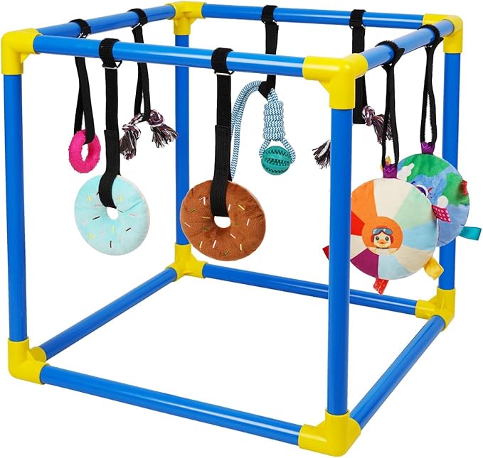 Liitrton Puppy Play Gym for Small Dogs with 8 Hanging Toys, Blue | 19.5"x19.5"x19.5" PVC Frame, Indoor Puppy Jungle Gym with Interactive Puppies Toys