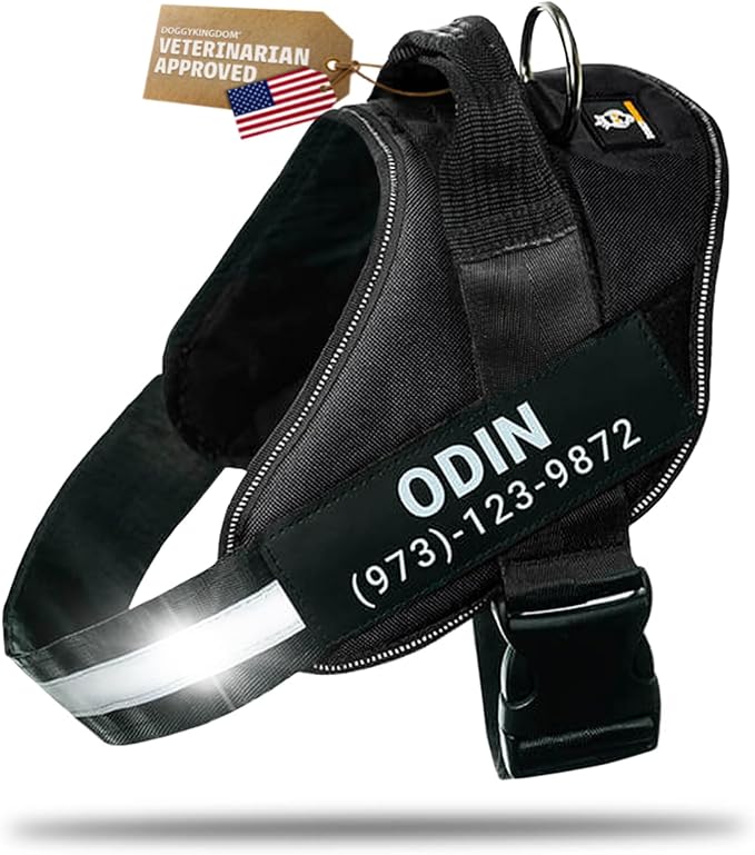 Personalized Dog Harness with Custom Name Patches, Adjustable Reflective No Choke Dog Vest with Handle for Small Sized Dog, Black, S