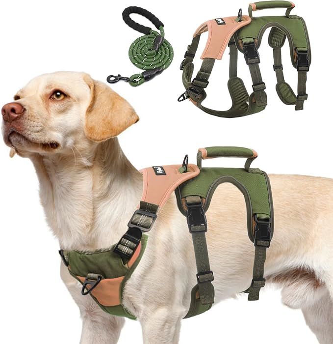 PUPTECK Escape Proof Dog Harness and Leash Set Upgraded No Pull Reflective Dog Vest with Lift Handle, Easy Control Pet Harness for Medium Large Dogs Training Walking Running, Green, M