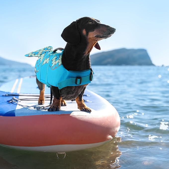 Mermaid Dog Life Jacket - Lightweight Dog Swimming Vest, High Buoyant, Blue, L