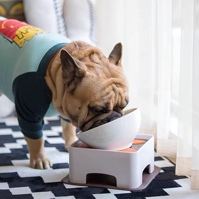 Bulldog Bowl Anti-Slip Dog Cat Dish Detachable Rubber Dog Bowl Pet Sterile Tilted Pet Feeder Slope Base