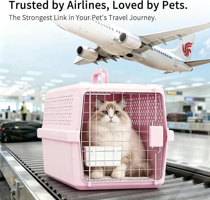 RIZZARI Pet Travel Carrier, 22" Hard Kennel for Cats & Small Dogs | Strong Wire Door,Comfortable Transport,Reliable Lock Design,Ventilated Side Panels,Lightweight Structure,Easy Daily Care