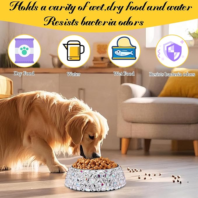 SlowVibes Bling Stainless Steel Dog Bowls,18oz Removable Diamond Metal Food Water Bowl for Feeding Dogs,Rust Resistant Non-Slip Puppy Dish,Sparkle Rhinestone Essentials for Medium Large Girl Pets