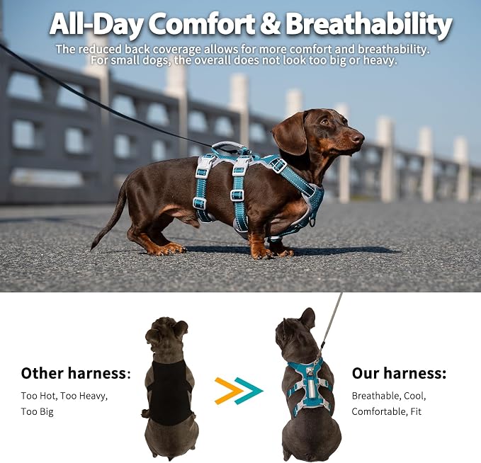 Escape Proof Dog Harness, No Pull Reflective Harness with Lift Handle, Adjustable Pet Vest with Front and Back Leash Clips for Small Medium Large Dogs Walking Hiking Training (Teal,XL)