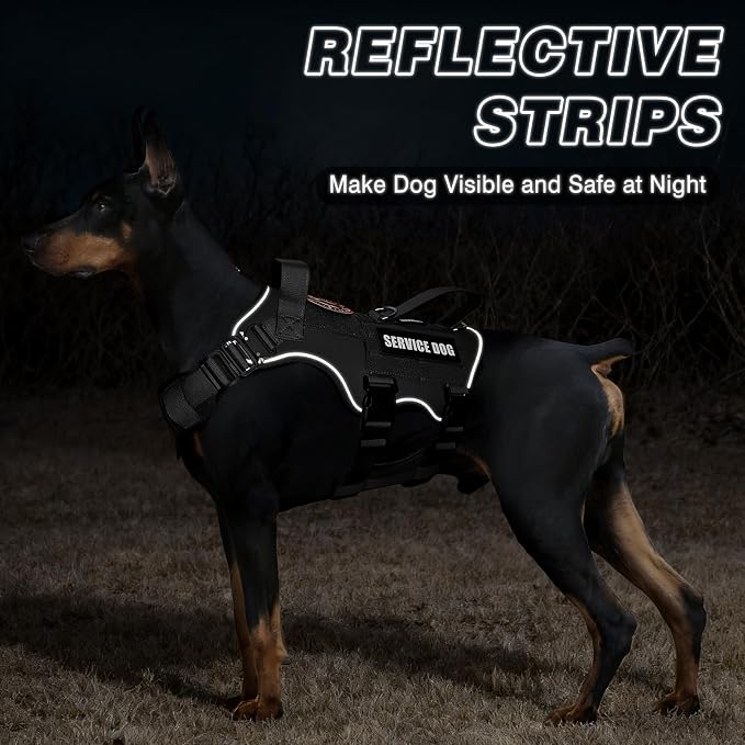 Tactical Service Dog Vest and Leash Set,Heavy Duty Harness with Metal Buckles for Large Dogs,Adjustable No Pull Pet Vest with 10 Patches,for Training Working Hiking,Black L