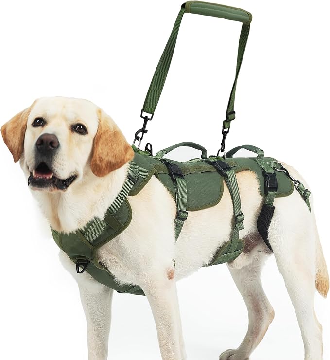 PUPTECK Dog Lift Harness for Medium Large Sized Dog, Rehabilitation Sling for Hind Leg Support, Multifunctional Mobility Assistance Harness for Old, Disabled, Joint Injuries, Paralysis Dog, Green XL
