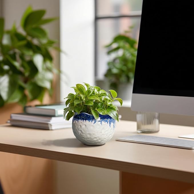 4 Inch Plant Pots - Ceramic Pots for Plants with Drainage Hole and Plug, Round Planters for Indoor Outdoor Plants, Modern Unique Flower Pots, Home Living Room Decor, Garden Gift, Beige-Blue