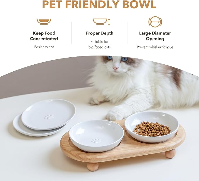 Havniva Elevated Cat Bowls, Cat Food and Water Bowl Set, Ceramic Cat Bowl | Raised Cat Food Bowls, Whisker Friendly, 5.6” Shallow Cat Dishes + 6” Wide Cat Plates, Non-Slip Wood Stand, Two Heights
