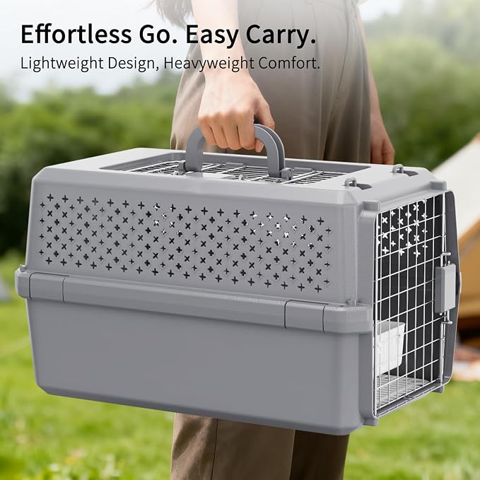 RIZZARI Gray Pet Carrier for Medium Dogs & Cats, Hard-Sided Travel Kennel | Spacious Interior,Reinforced Side Latches,Stable Carrying Handle,Wide Front Entry,Supports Daily Travel,Light weight to Carry