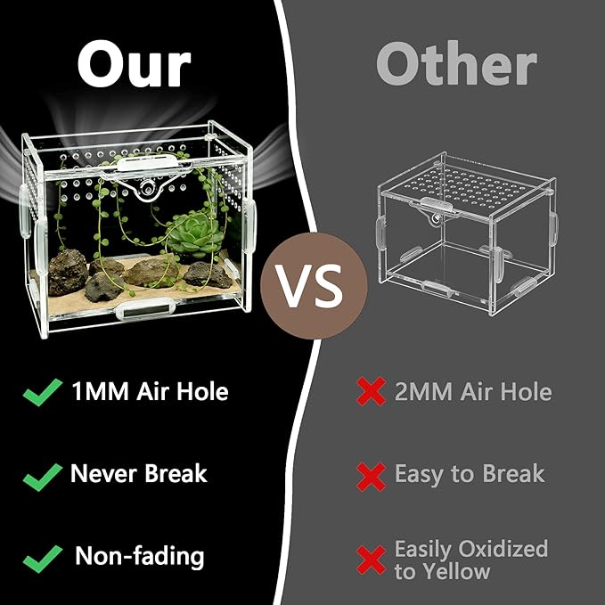 Small Acrylic Insect Terrarium - Mini Bug Enclosure for Jumping Spiders, Praying Mantises & Tiny Frogs - Clear Acrylic Cage with 1mm Ventilation Holes, Easy Maintenance
