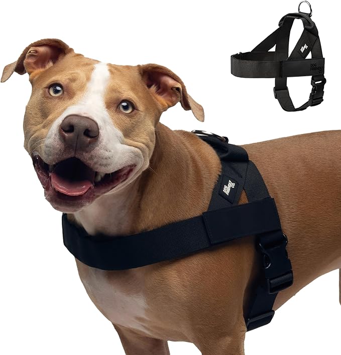Dog Friendly Co. Dog Harness for Small Dogs (Black, XXSmall) | One Click Buckle, Chafe Resistant Webbing, Adjustable Neck & Chest, and Heavy Duty D-Ring, Sturdy Comfortable and Easy to Use