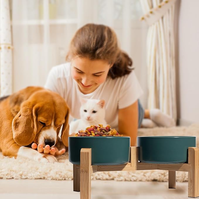 Elevated Ceramic Dog Bowl, 3.6 Cups Dog Food and Water Bowl Set with Stand | 6.1'' Double Dog Feeding Dishes, Non-Slip Raised Dog Feeder for Small and Medium Breeds, 28.74 OZ / 850 ML, White